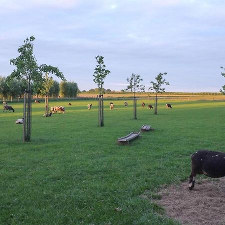 De Nachtdijk Bed and Breakfast Wijk bij Duurstede Eksteriør billede