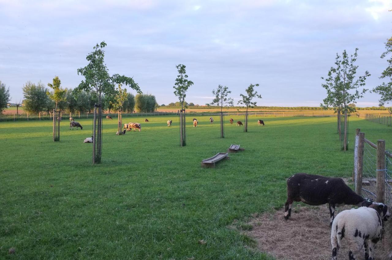 De Nachtdijk Bed and Breakfast Wijk bij Duurstede Eksteriør billede